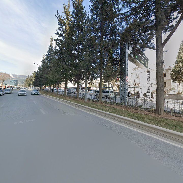 Fotoğraf 8
