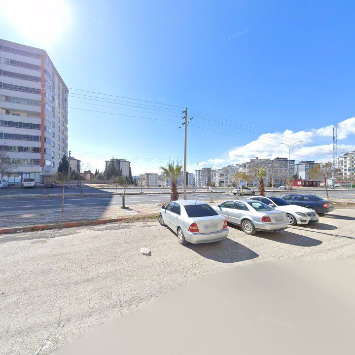 Fotoğraf 7