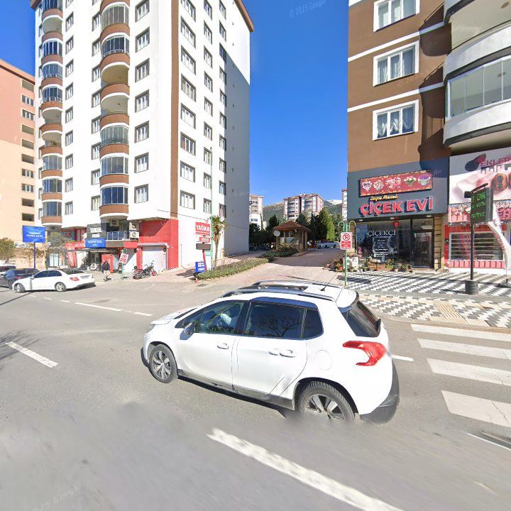 Fotoğraf 9