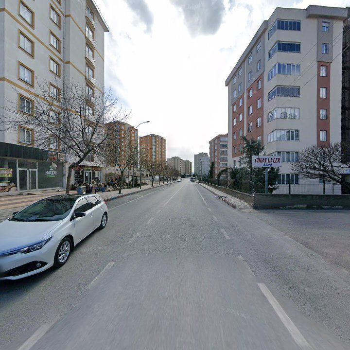 Fotoğraf 11