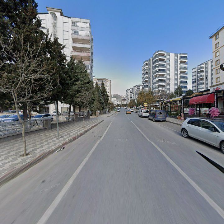 Fotoğraf 13