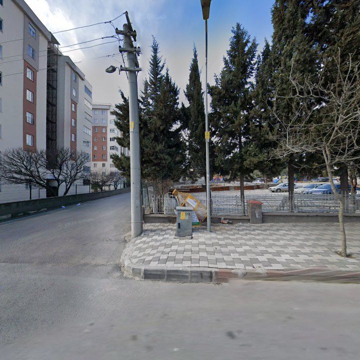 Fotoğraf 12