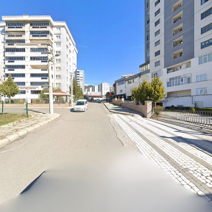 Fotoğraf 10