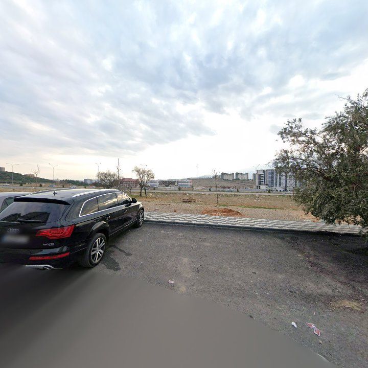 Fotoğraf 11