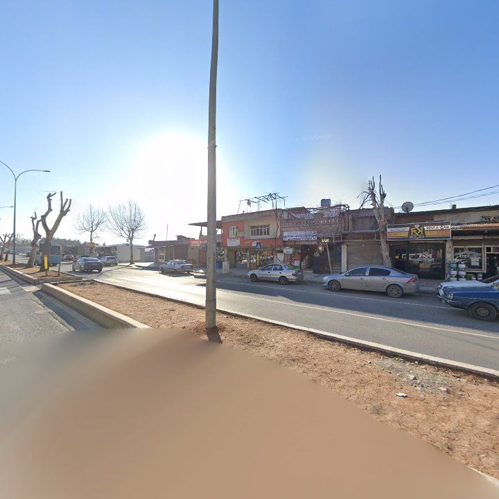Fotoğraf 5