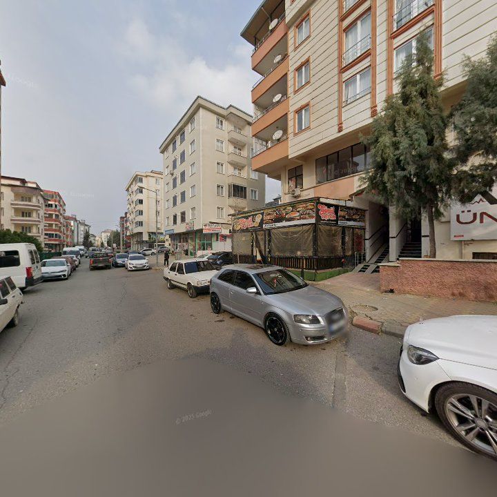 Fotoğraf 11