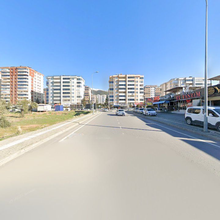 Fotoğraf 8
