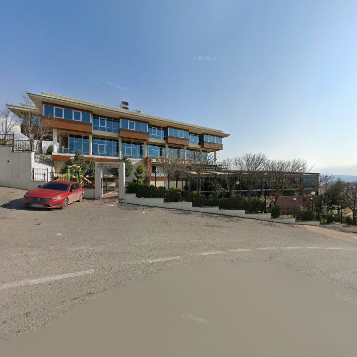Fotoğraf 10