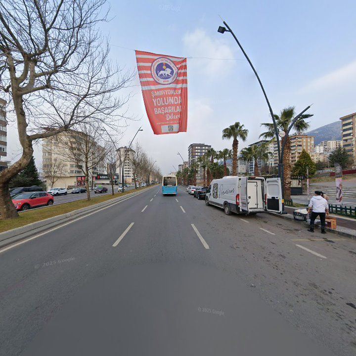 Fotoğraf 13