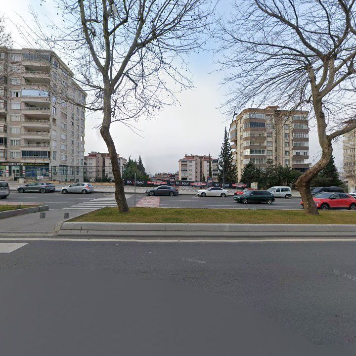 Fotoğraf 12