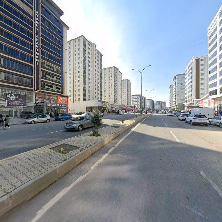 Fotoğraf 10