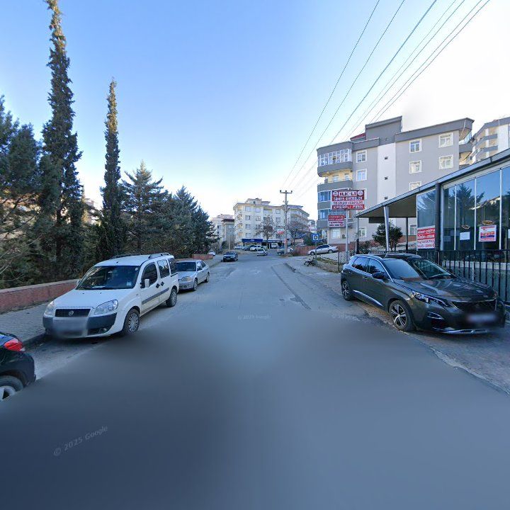 Fotoğraf 7