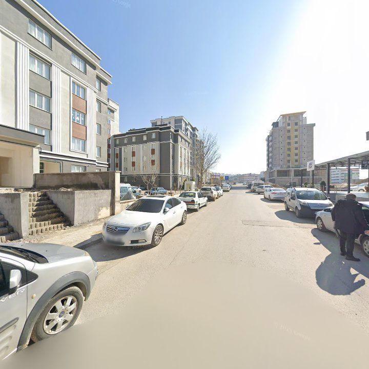 Fotoğraf 10