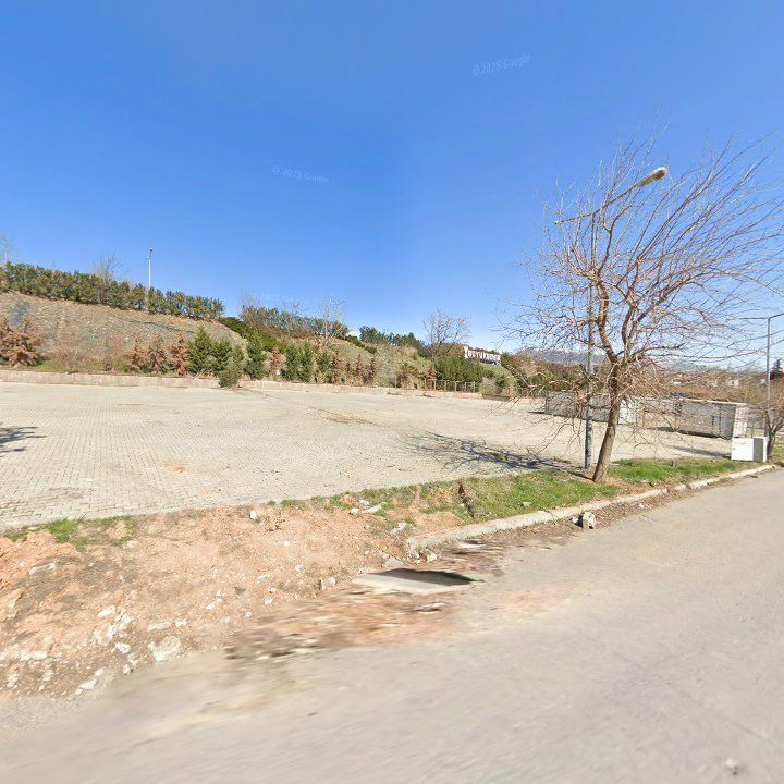 Fotoğraf 9