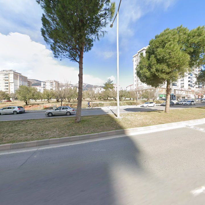 Fotoğraf 7