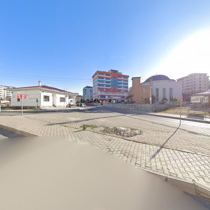 Fotoğraf 11