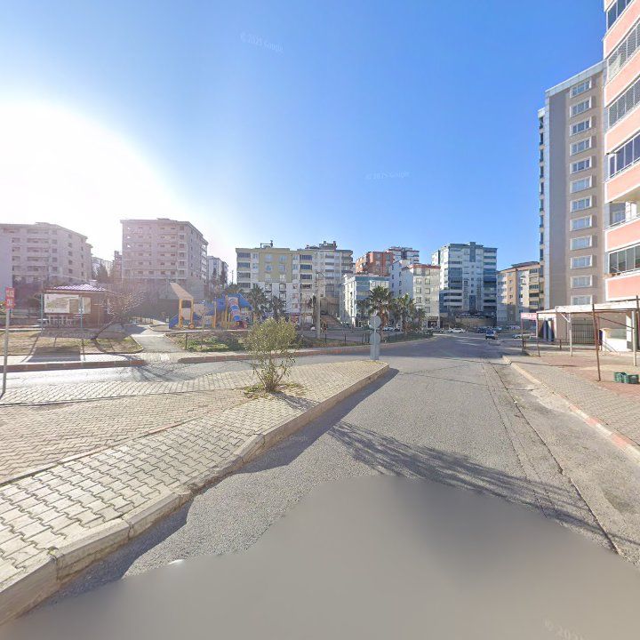 Fotoğraf 12