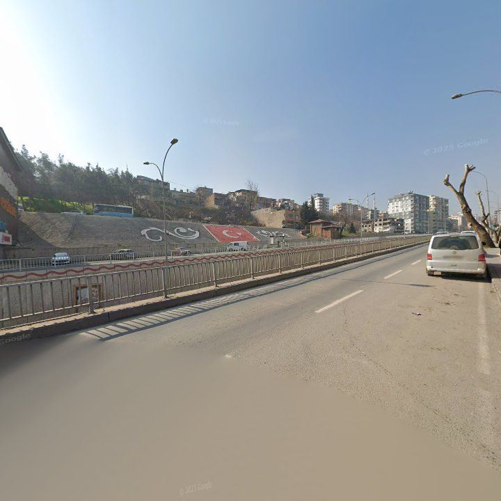 Fotoğraf 10