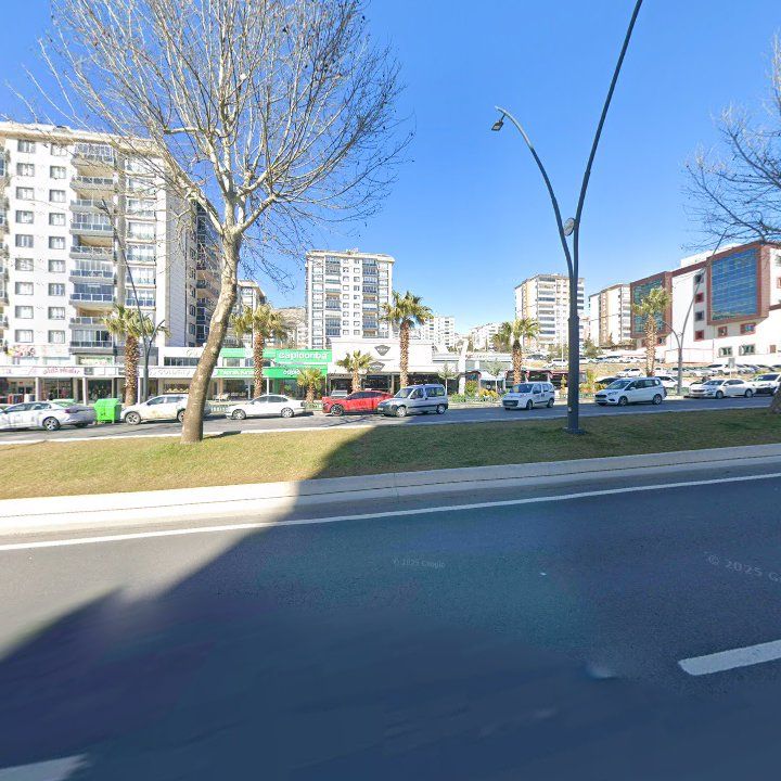 Fotoğraf 10
