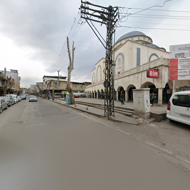 Fotoğraf 11