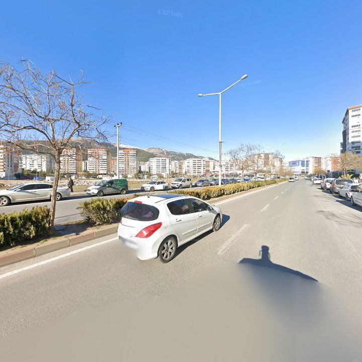 Fotoğraf 11