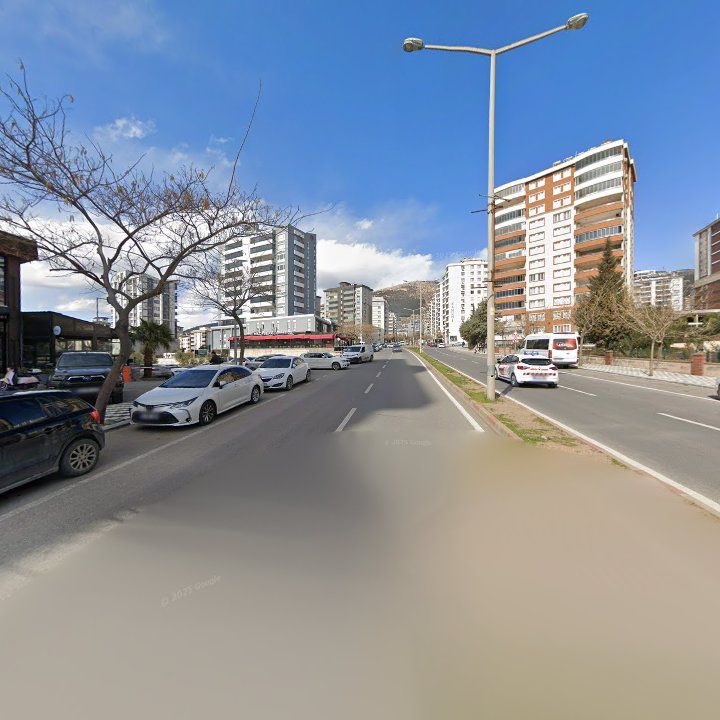 Fotoğraf 8