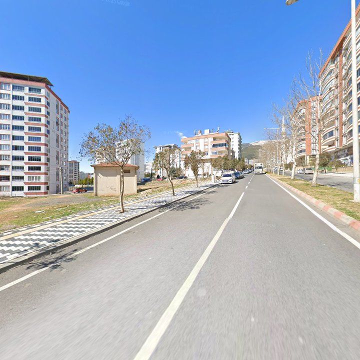 Fotoğraf 11
