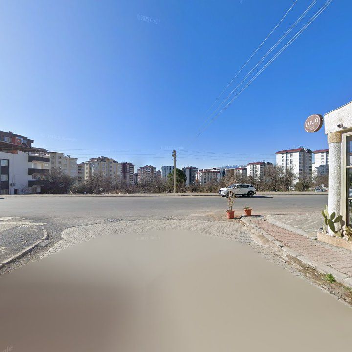 Fotoğraf 9