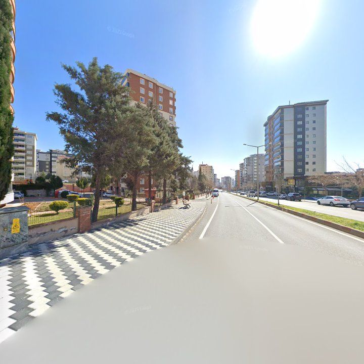 Fotoğraf 10