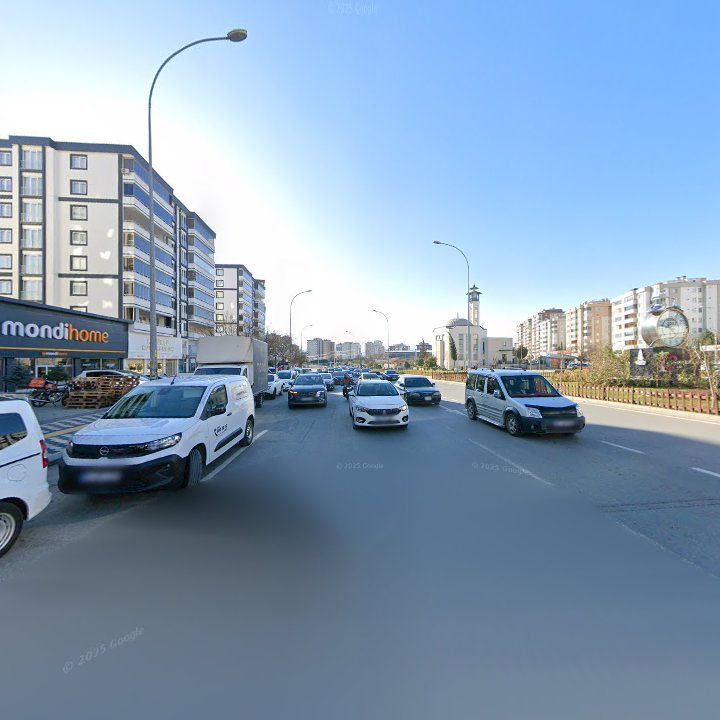 Fotoğraf 10