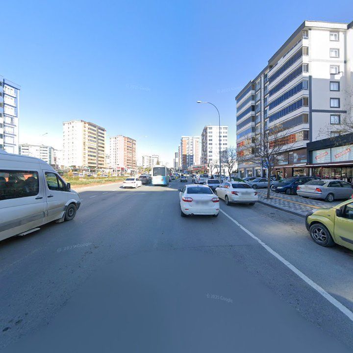 Fotoğraf 12