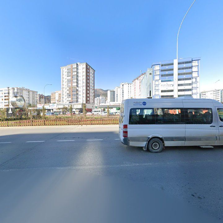 Fotoğraf 11