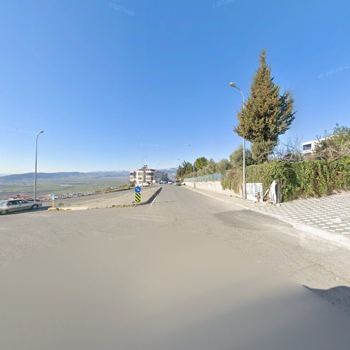 Fotoğraf 9