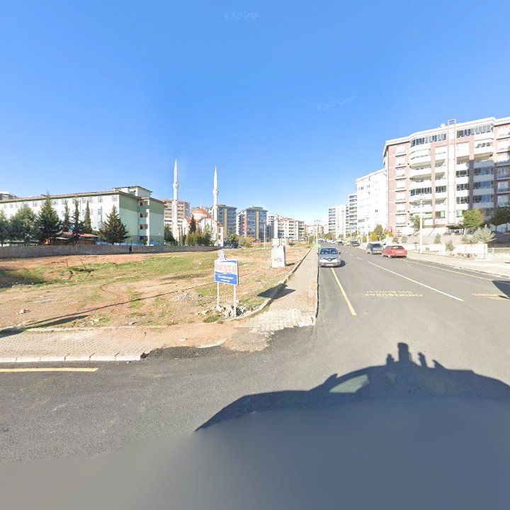 Fotoğraf 11