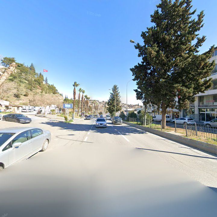 Fotoğraf 7