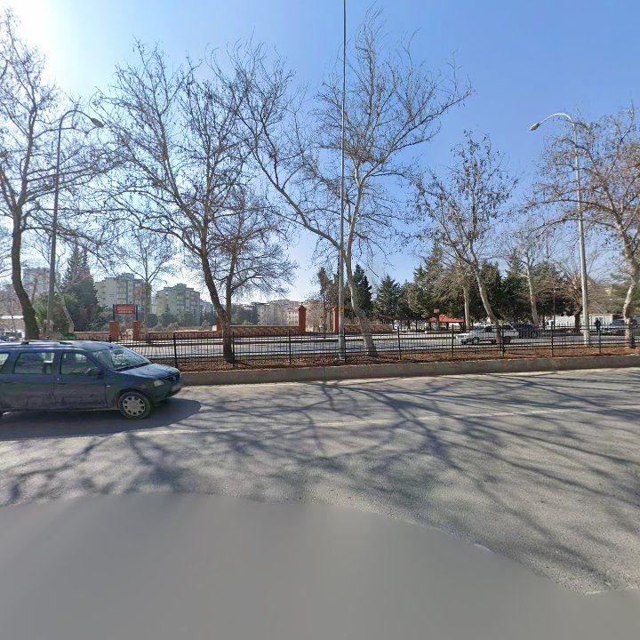 Fotoğraf 10