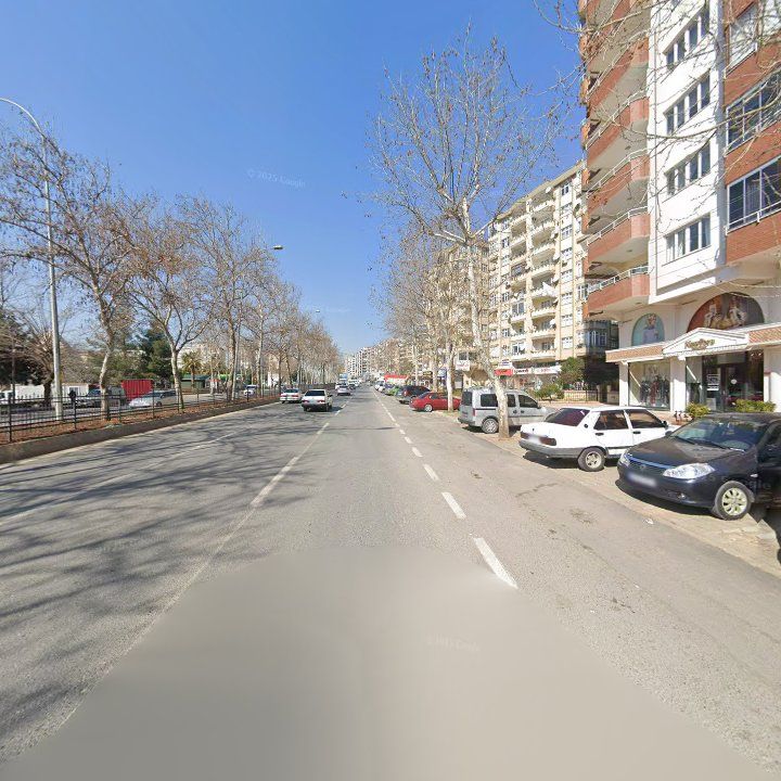 Fotoğraf 11