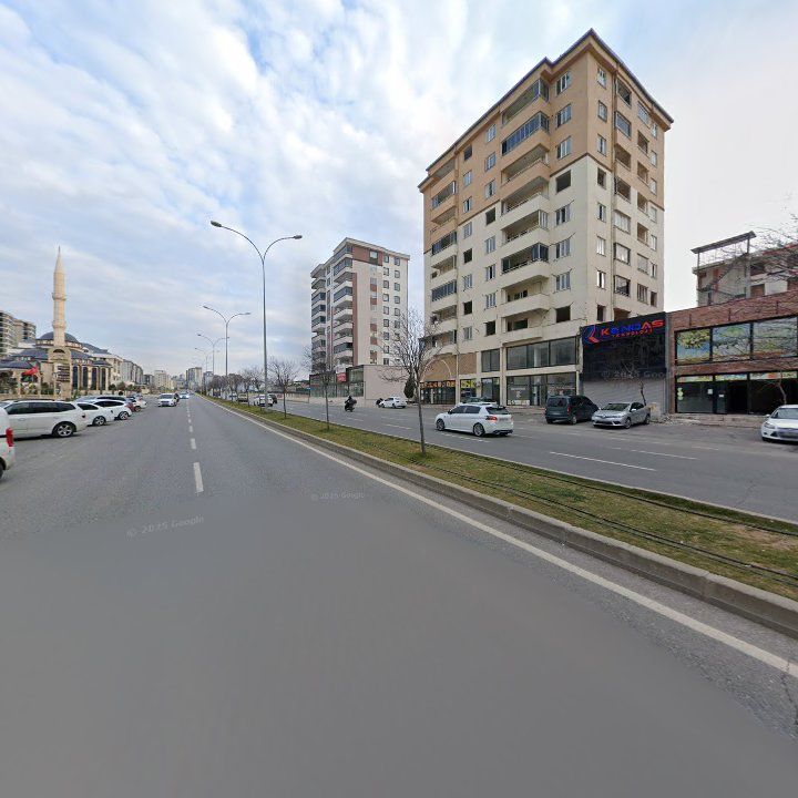 Fotoğraf 10