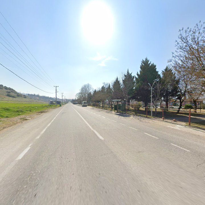 Fotoğraf 10