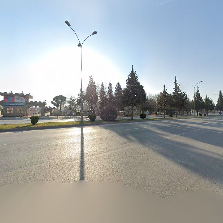 Fotoğraf 11
