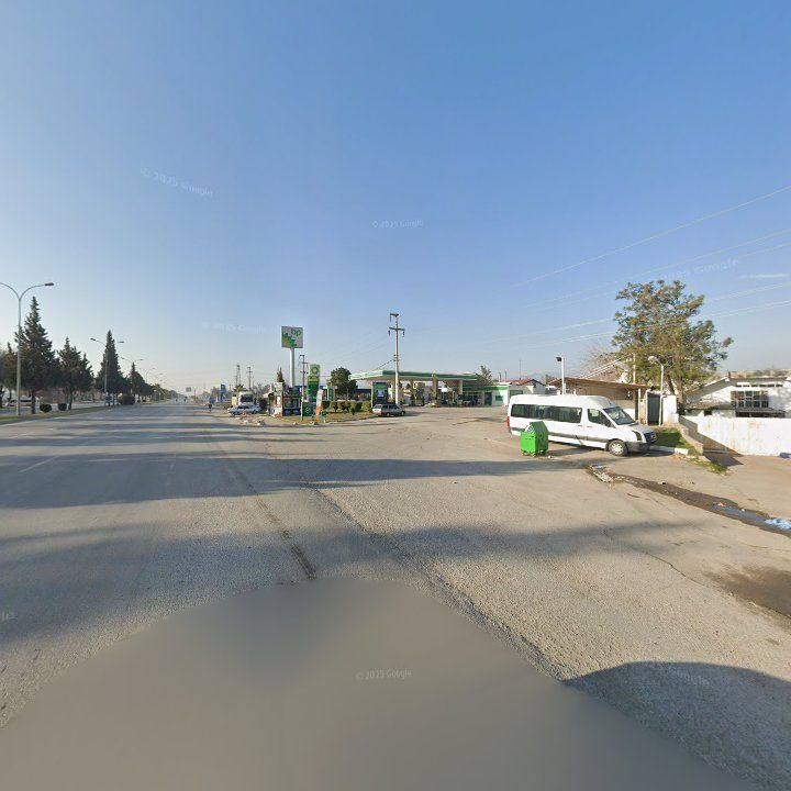 Fotoğraf 12