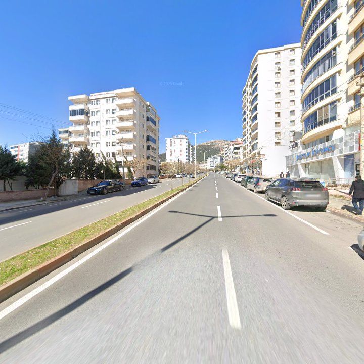 Fotoğraf 12