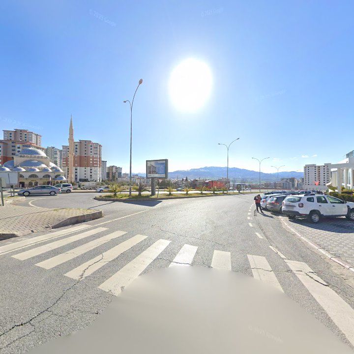 Fotoğraf 11