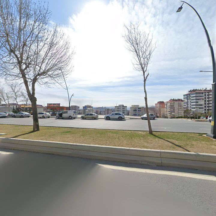 Fotoğraf 8