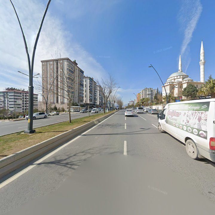 Fotoğraf 9
