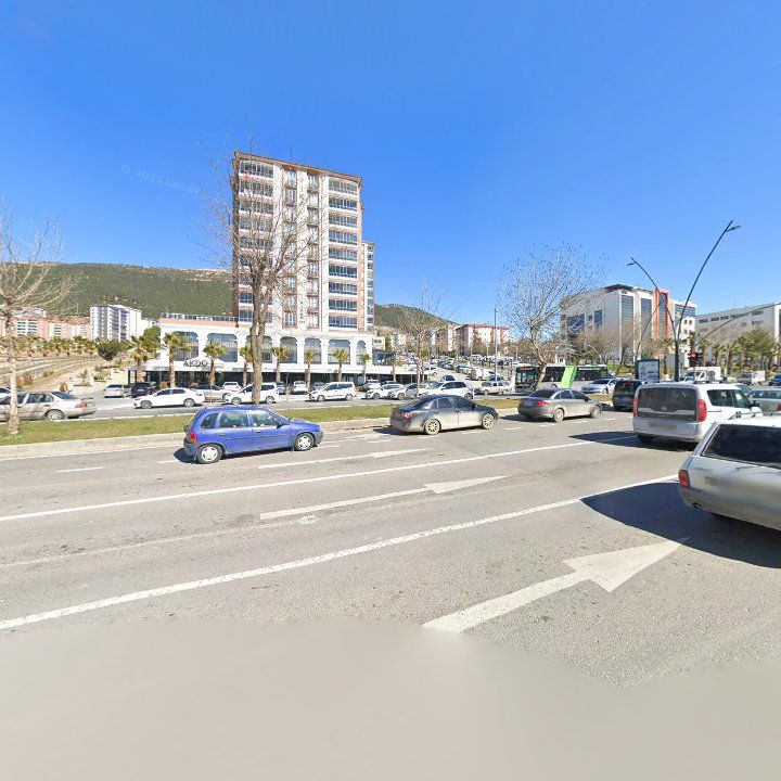 Fotoğraf 9