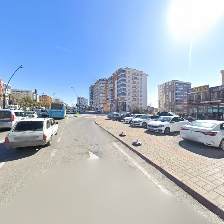 Fotoğraf 10