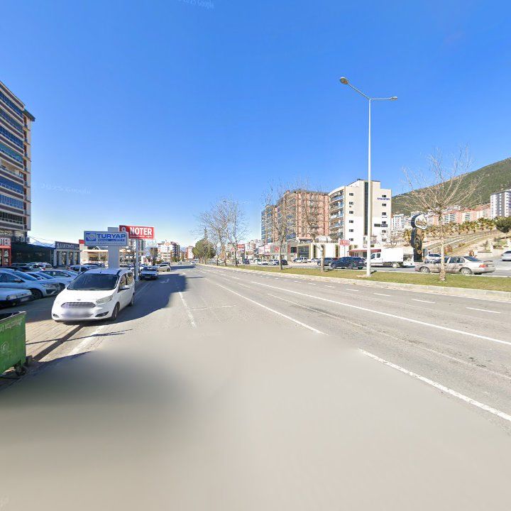 Fotoğraf 8