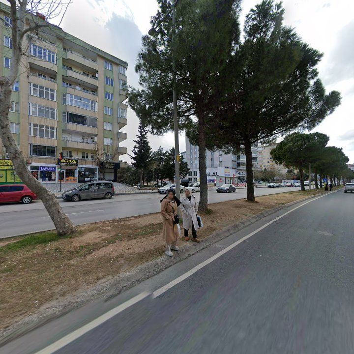 Fotoğraf 11