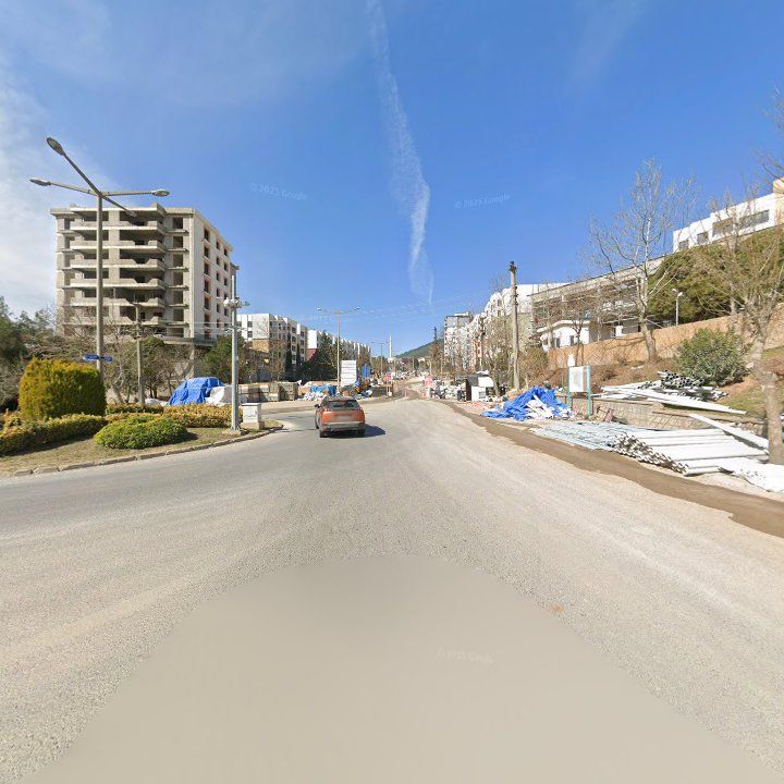 Fotoğraf 11
